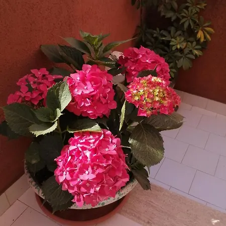 Paradiso Marino Holiday home